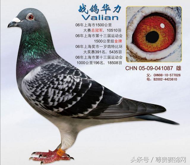 第564页