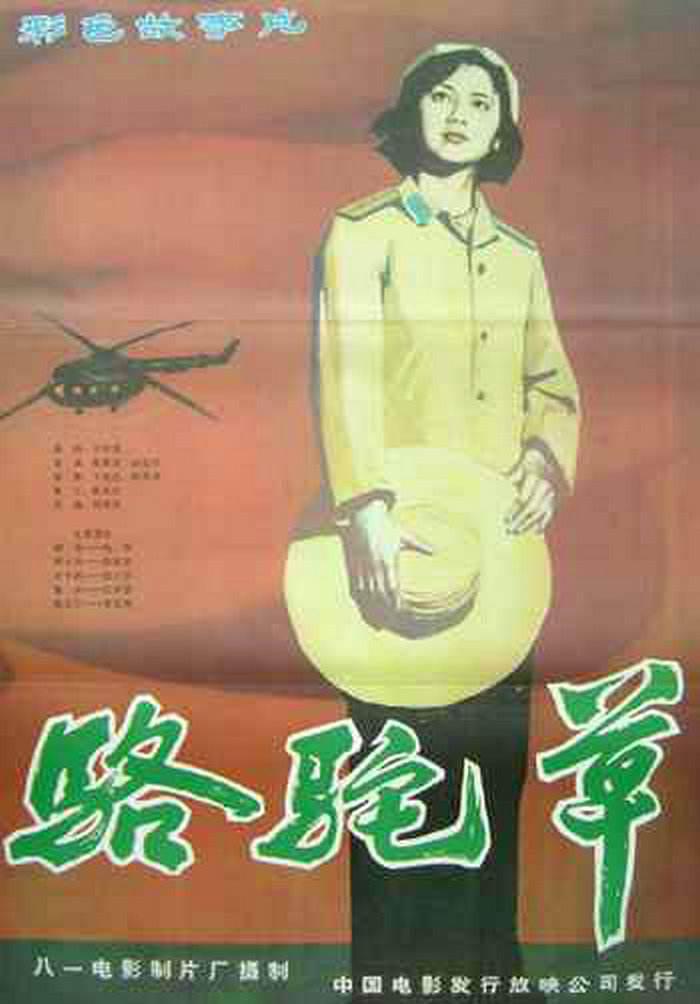 电影骆驼草，荒漠生命与银幕传奇的交融之旅