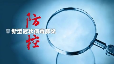 最新肺炎防控措施深度解析，全面应对挑战的策略
