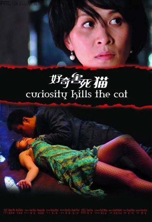 好奇害死猫豪华演员阵容揭秘