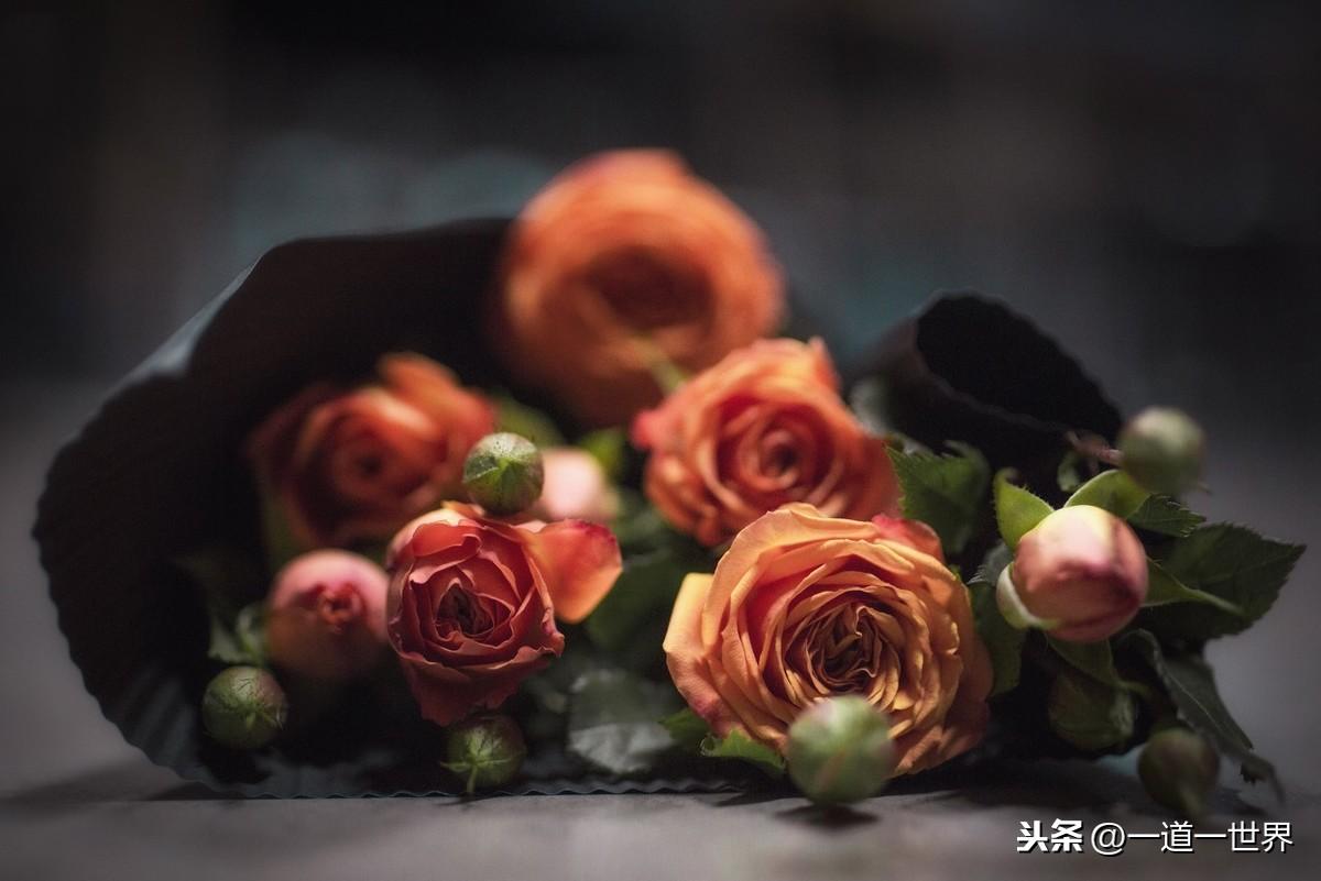 第519页