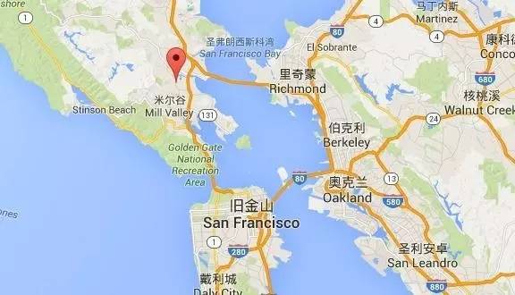 深圳最新地图,深圳最新地图，一张通往机遇与成长的神奇导航图