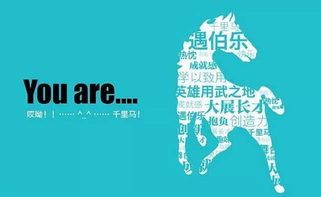 莘县最新招工信息，春风招工记，汇聚友情、梦想与家的温暖