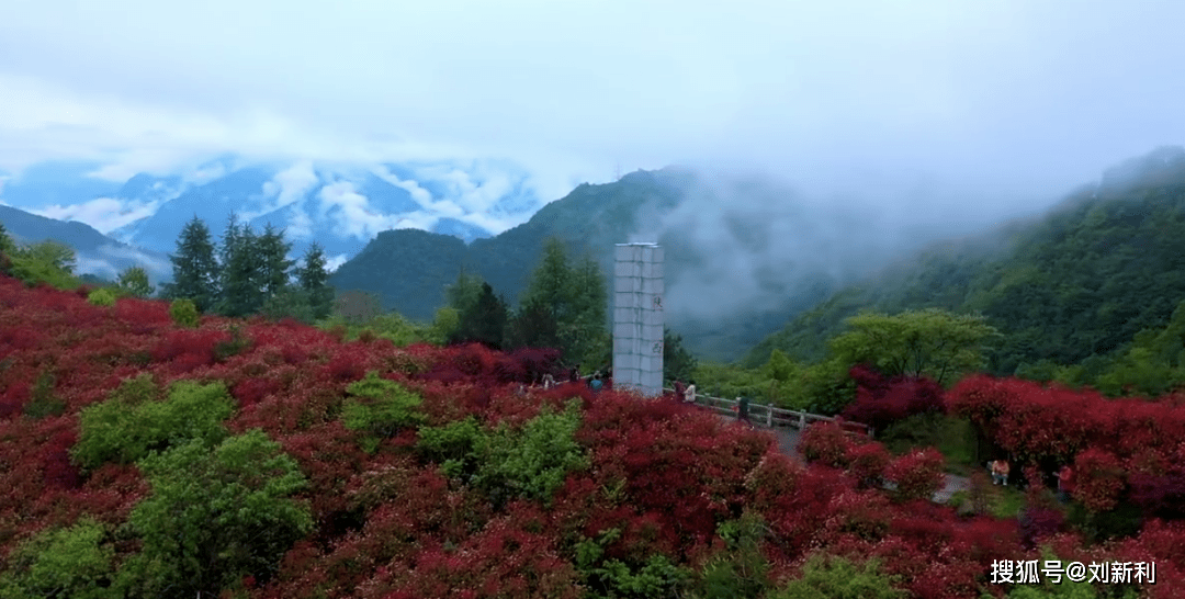 汝康自然美景探索之旅，心灵洗涤与重生体验