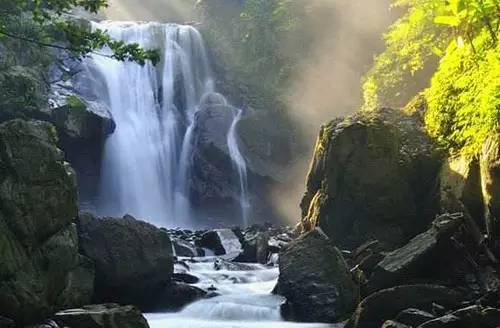 废柴最新网址启程，自然美景治愈之旅的探险之门