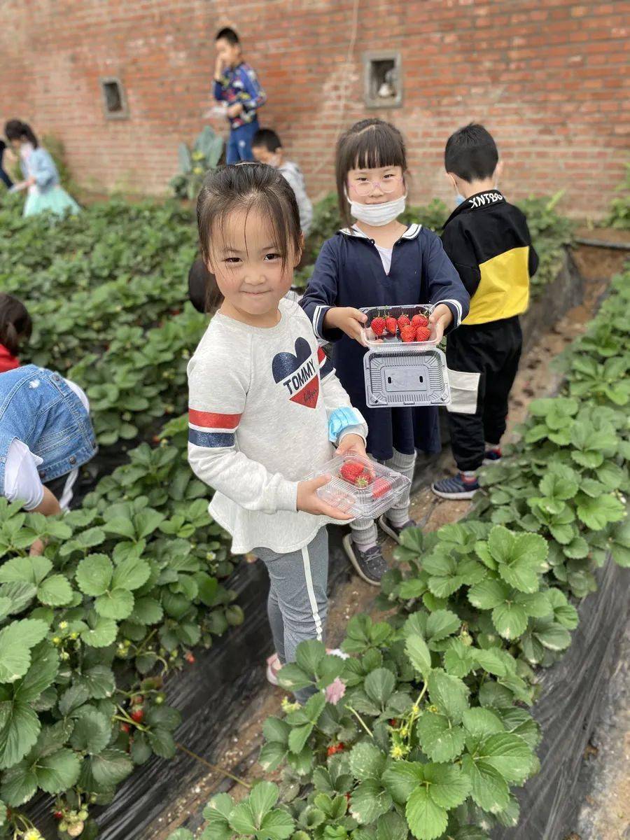 夏津最新天气预报，启程探索自然美景之旅！