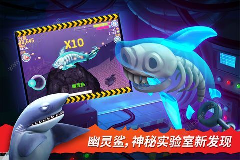 正版饥饿鲨进化游戏体验分享，尊重知识产权，拒绝破解版