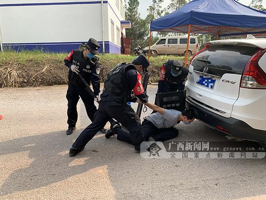 宁明新闻网最新消息，热点事件与社会发展动态深度解析
