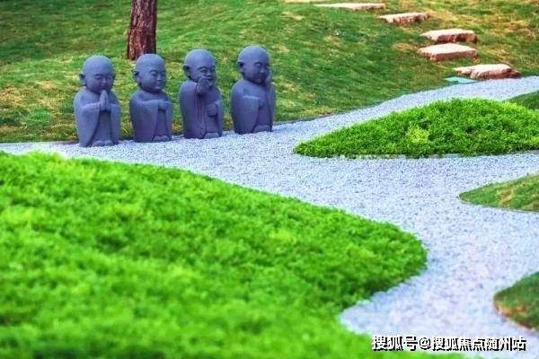 最新赛事足球，深度观点阐述与解析