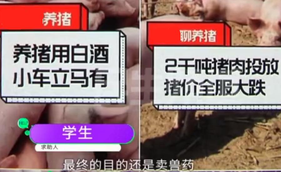 第435页
