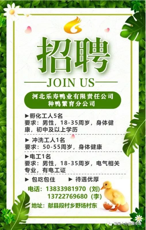 最新羊场招聘启事，寻找优秀人才加入我们的团队