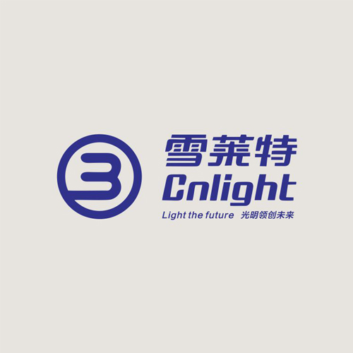 雪莱特最新公告揭秘，未来新篇章开启🚀