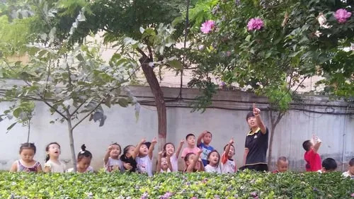 荥阳会谱大全最新，自然美景的探索之旅