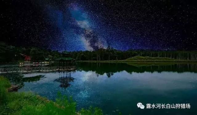 最新午夜福利，与自然美景的邂逅与内心平和之旅