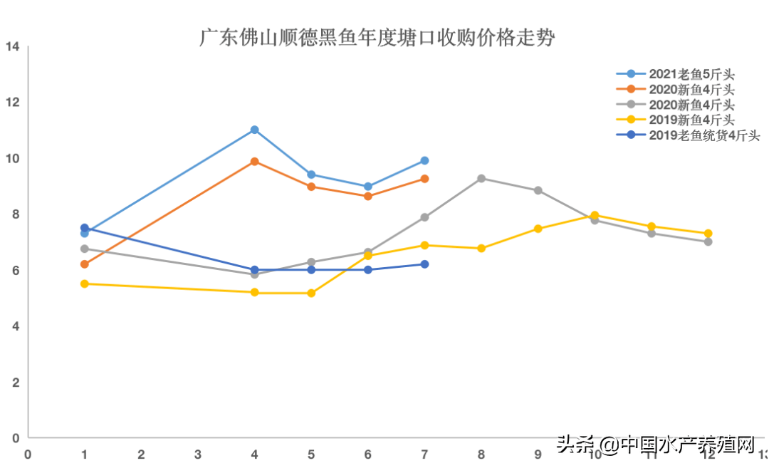 广东黑鱼最新价格走势，探寻变化中的励志之旅与自信成就之路