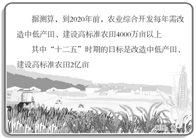 基本农田保护条例最新变动，力量与学习的魅力展现