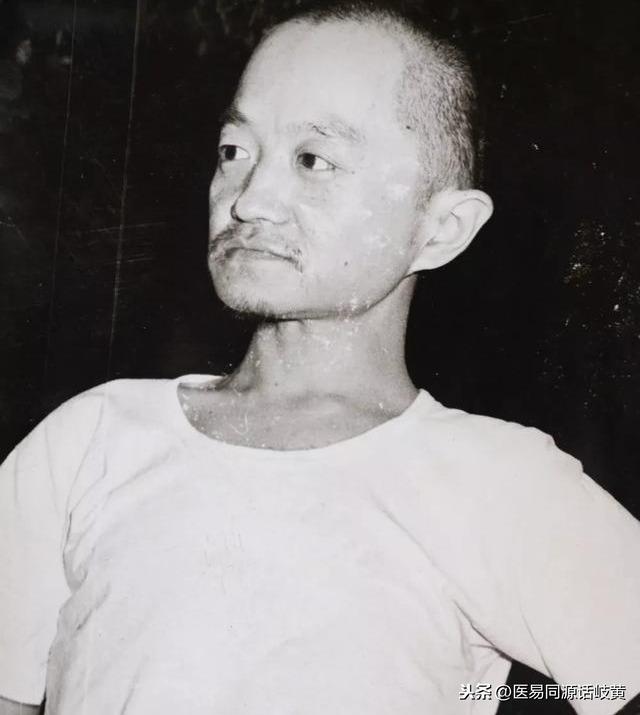 模拟城市，我是市长最新破解版启程，自然美景治愈之旅开启！