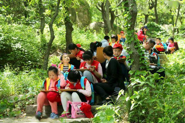 最新单电学习之旅，自信与成就并存，开启学习新篇章