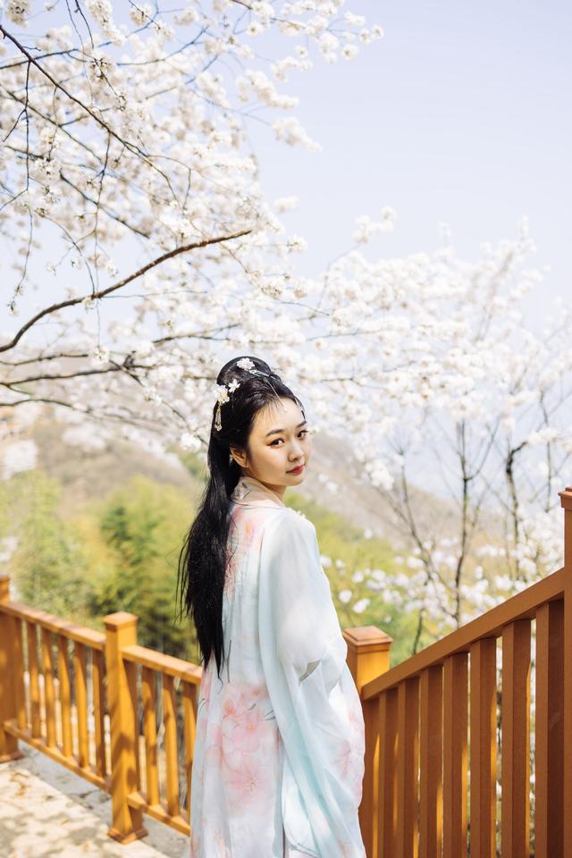 探索樱花妖的神秘面纱与最新动态资讯