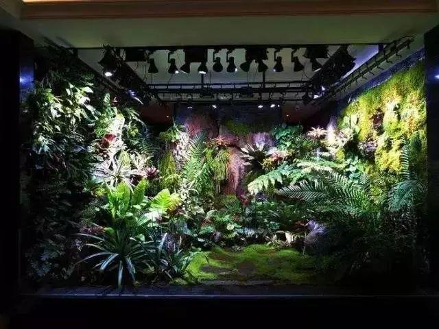 最新颈椎操，心灵之旅，探寻内心宁静与美景的秘诀