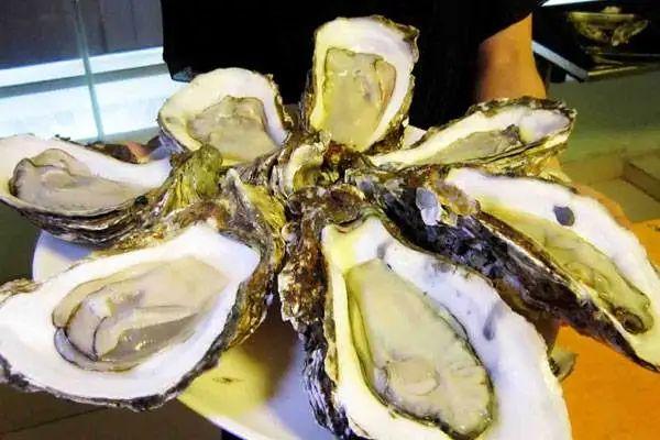 阳西最新新闻，小城温馨日常与家的温暖纽带