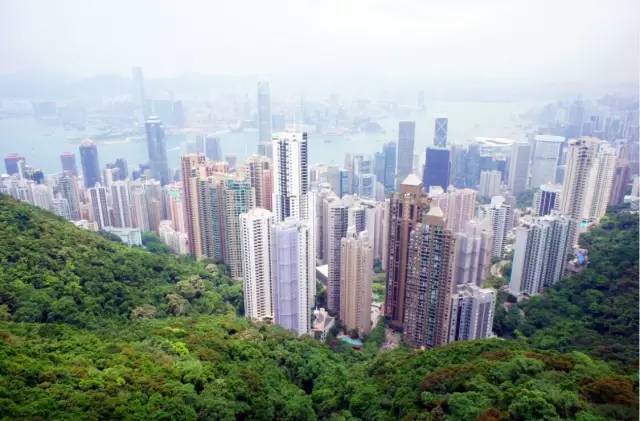 东平最新楼盘，自然美景之旅，内心平静的寻找地