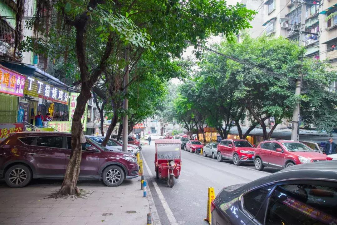 南坪最新招聘，小巷中的隐藏宝藏，探索特色小店之旅