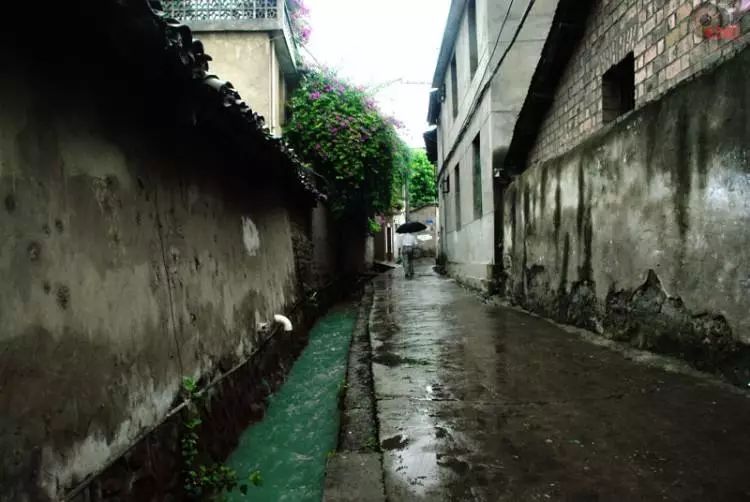西昌最新楼盘探秘，小巷深处的独特风景与隐藏的特色小店展示