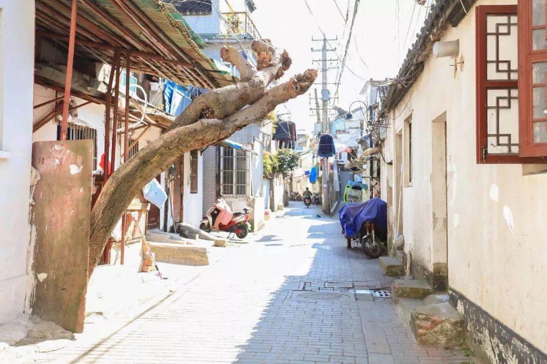 句容最新楼盘揭秘，小巷深处的隐藏宝藏与特色小店的独特魅力