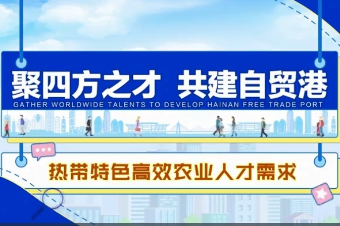 横县最新招聘趋势及人才需求深度分析与展望