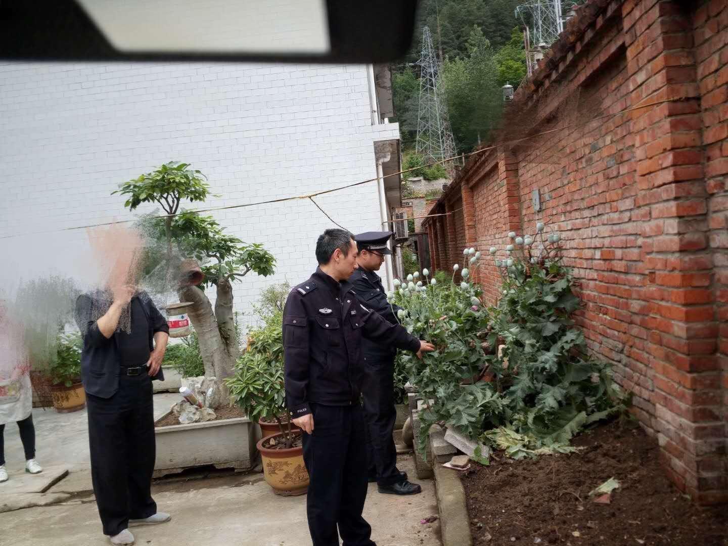 变电站最新危害详解及步骤指南