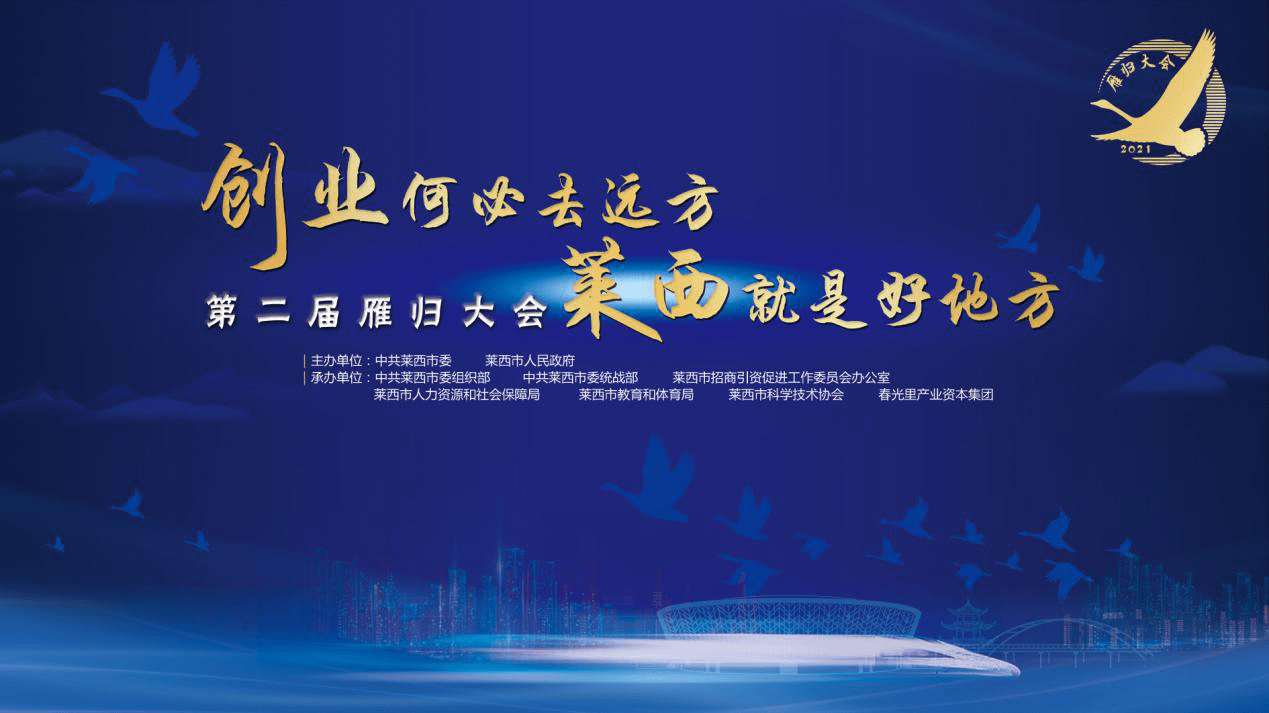 阿拉新北仑最新招聘，人才吸引与区域发展的双向考量