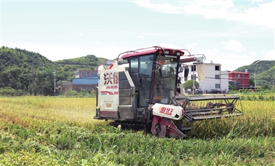加入我们 第59页