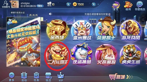 最新竖屏斗地主，全新体验，乐趣无穷
