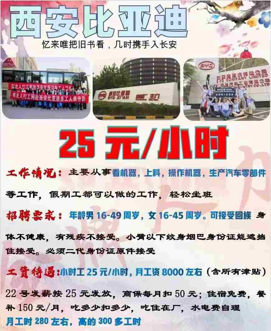 西安比亚迪最新招聘信息，温暖招聘故事揭秘