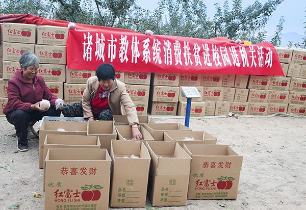 诸城楼盘最新房价，科技居住梦想，未来生活新篇章体验
