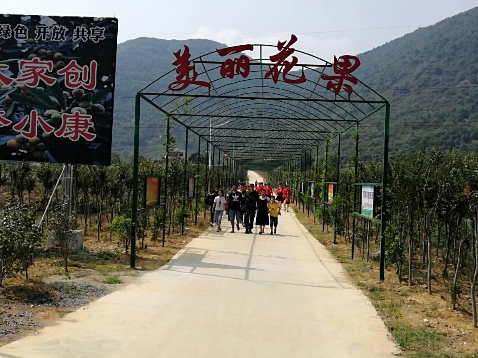 最新阳新韦源口消息及观点论述解析