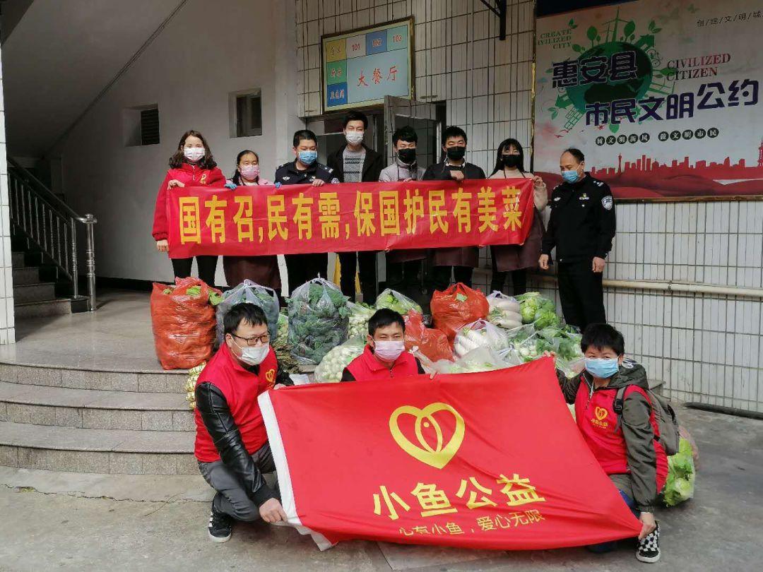 惠安小鱼网最新新闻，多元视角解读与深度分析