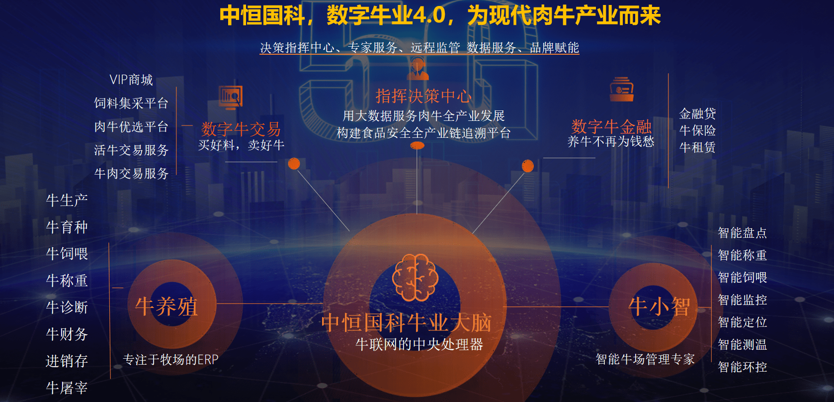 最新肉牛信息科技产品介绍及行业动态分析
