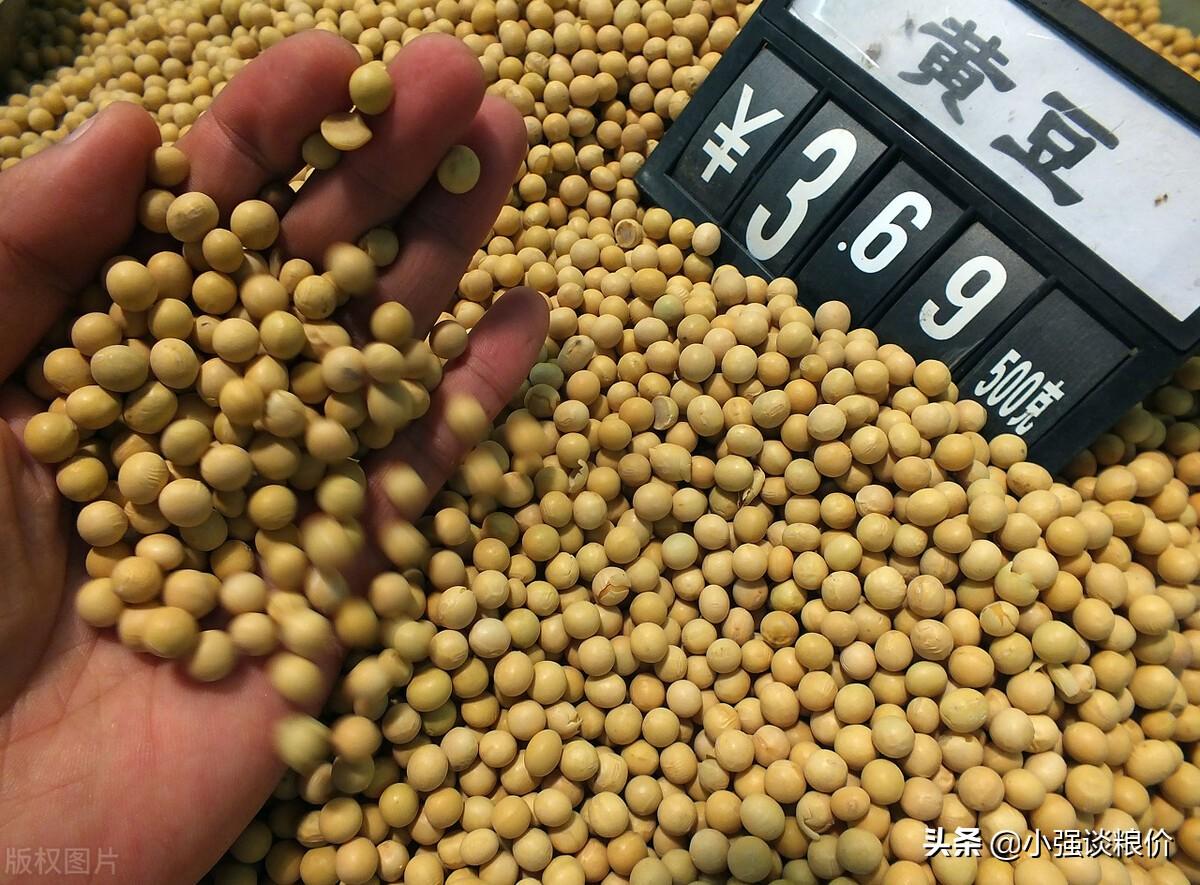 黄豆最新走势，市场分析与展望