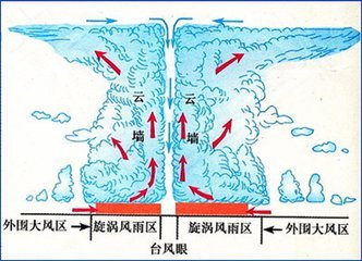 妮妲最新动态，热带气旋研究与应对进展综述
