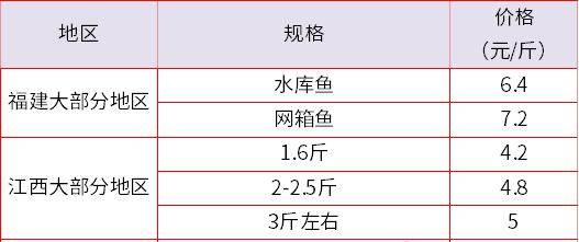 鲫鱼最新价格揭秘，一条鱼背后的温馨故事