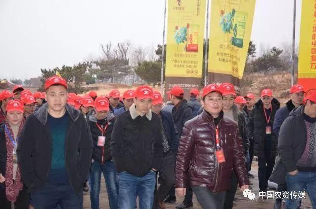 大蒜最新论坛，探讨产业未来发展趋势