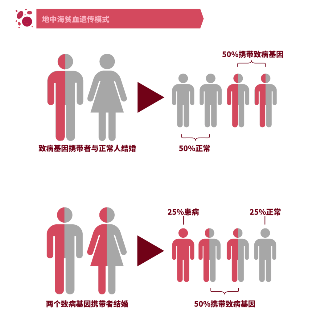 地贫治疗最新突破，引领未来的希望之光
