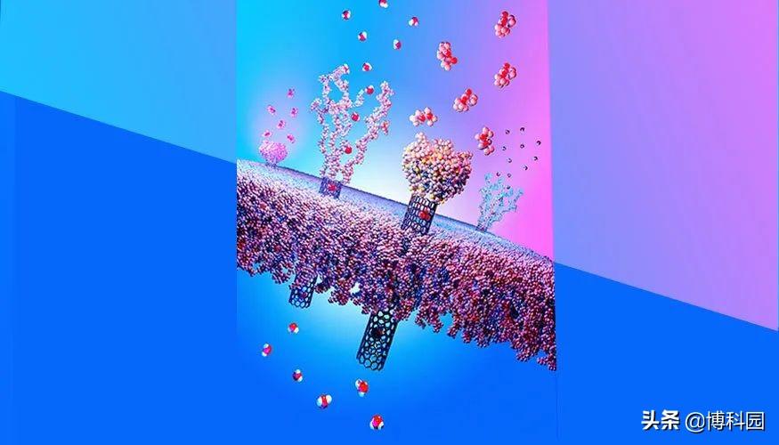 最新纳米技术，微小变革中的巨大潜力塑造未来自信与科技进步的飞跃