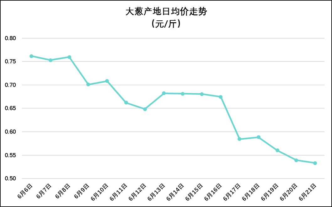 大葱今日价格走势更新，最新动态与市场趋势分析