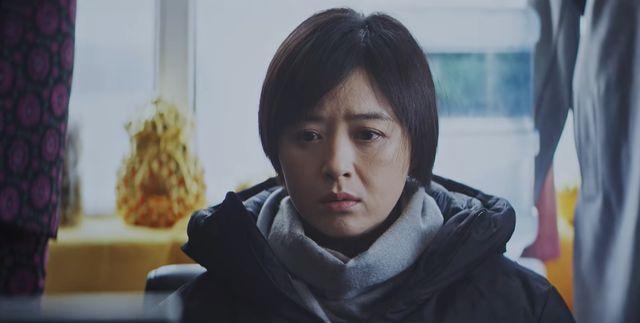 蜜播直播最新下载，探索自然美景的治愈之旅，寻找内心平和的启程