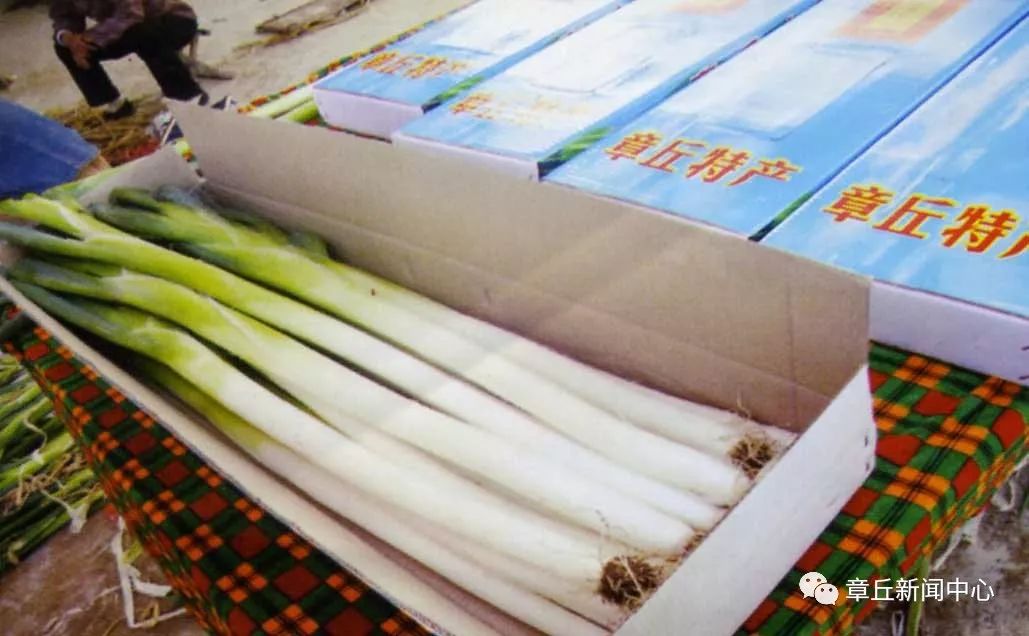 科技引领生活，今日大葱最新价格智能掌握走势分析