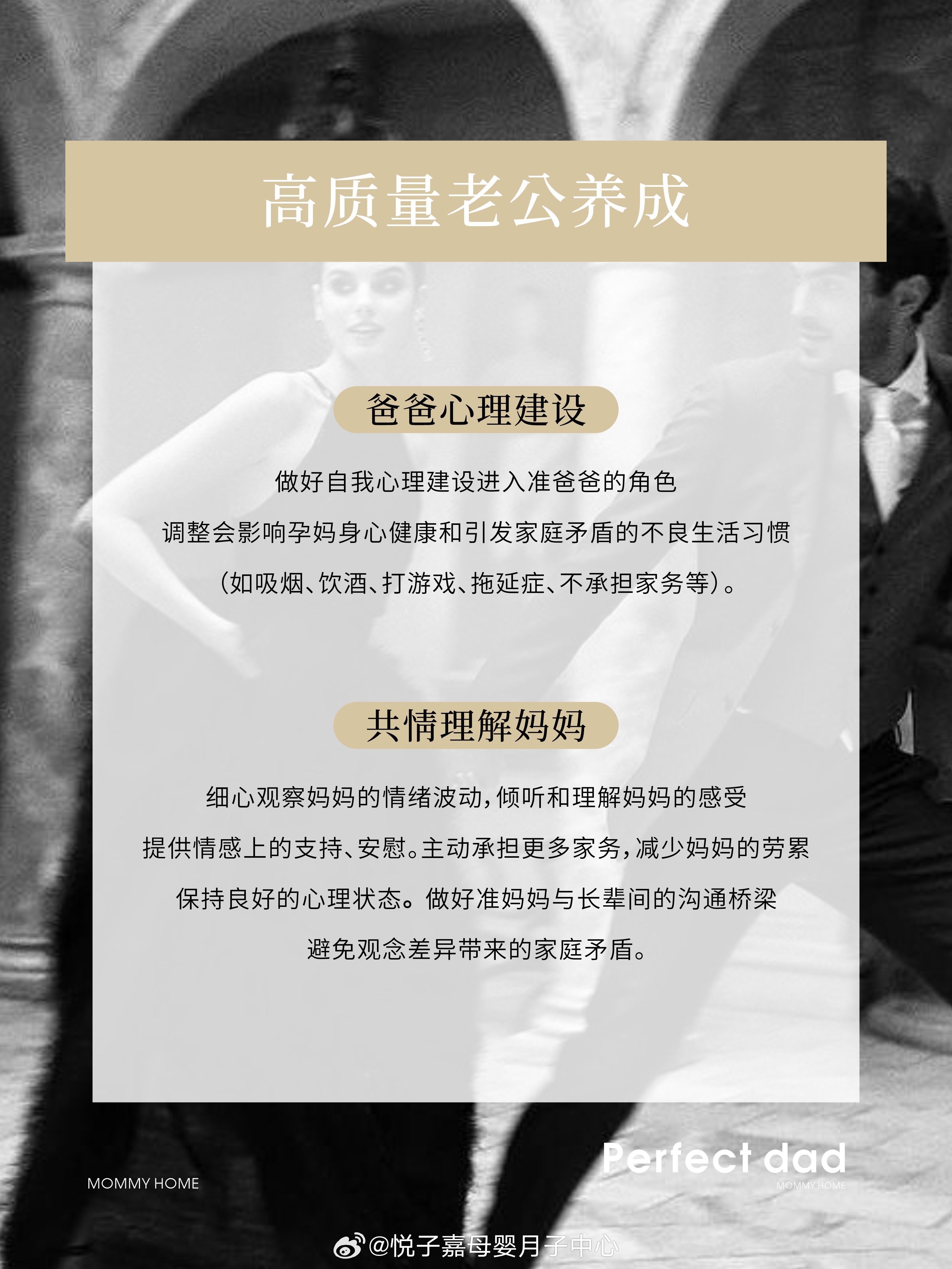 哈站最新动态，温馨日常，爱与陪伴的旅程启程了