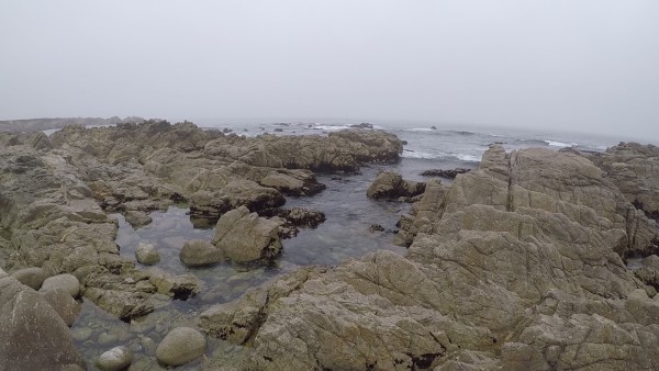 西海岸最新规划，自然美景探索之旅启动